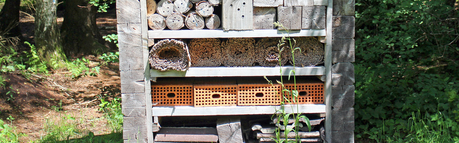insecthotel