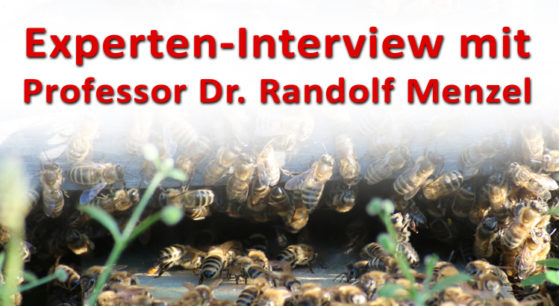 interview2