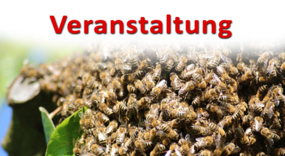 bienen_honig_veranstaltung