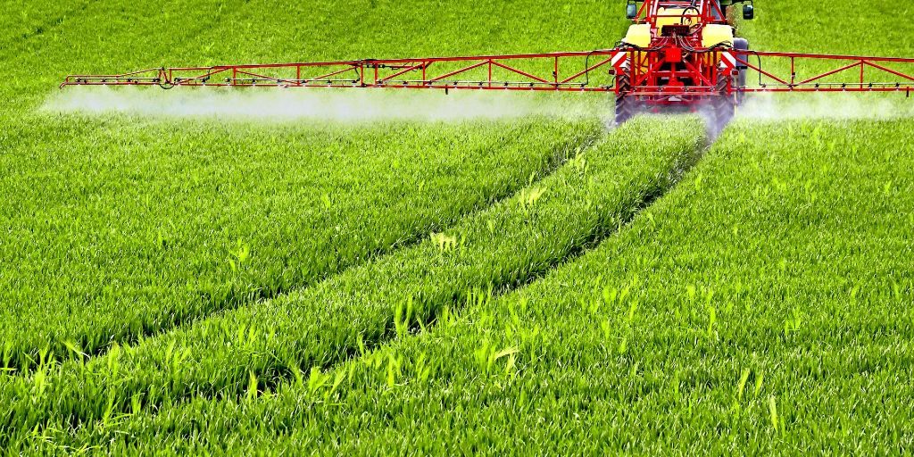 media.media.67c02856-11ed-44fd-a246-38ba8d0d35a0.original1024