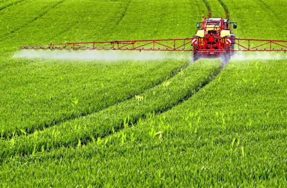 media.media.67c02856-11ed-44fd-a246-38ba8d0d35a0.original1024