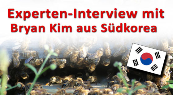 interview-bryan.suedkorea interview-bryan.suedkorea