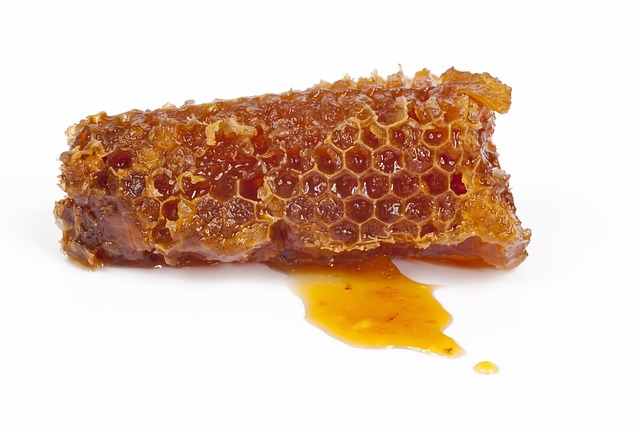 Propolis ist genauso ein Bienenerzeugnis wie Honig.
