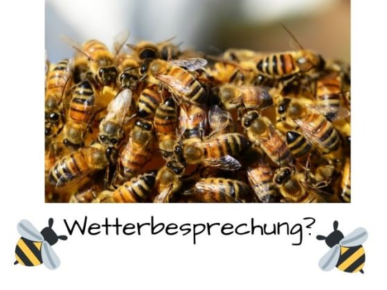 Temperatur Bienenstock Wie regeln Bienen die Temperatur?