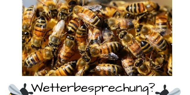 Temperatur Bienenstock Wie regeln Bienen die Temperatur?